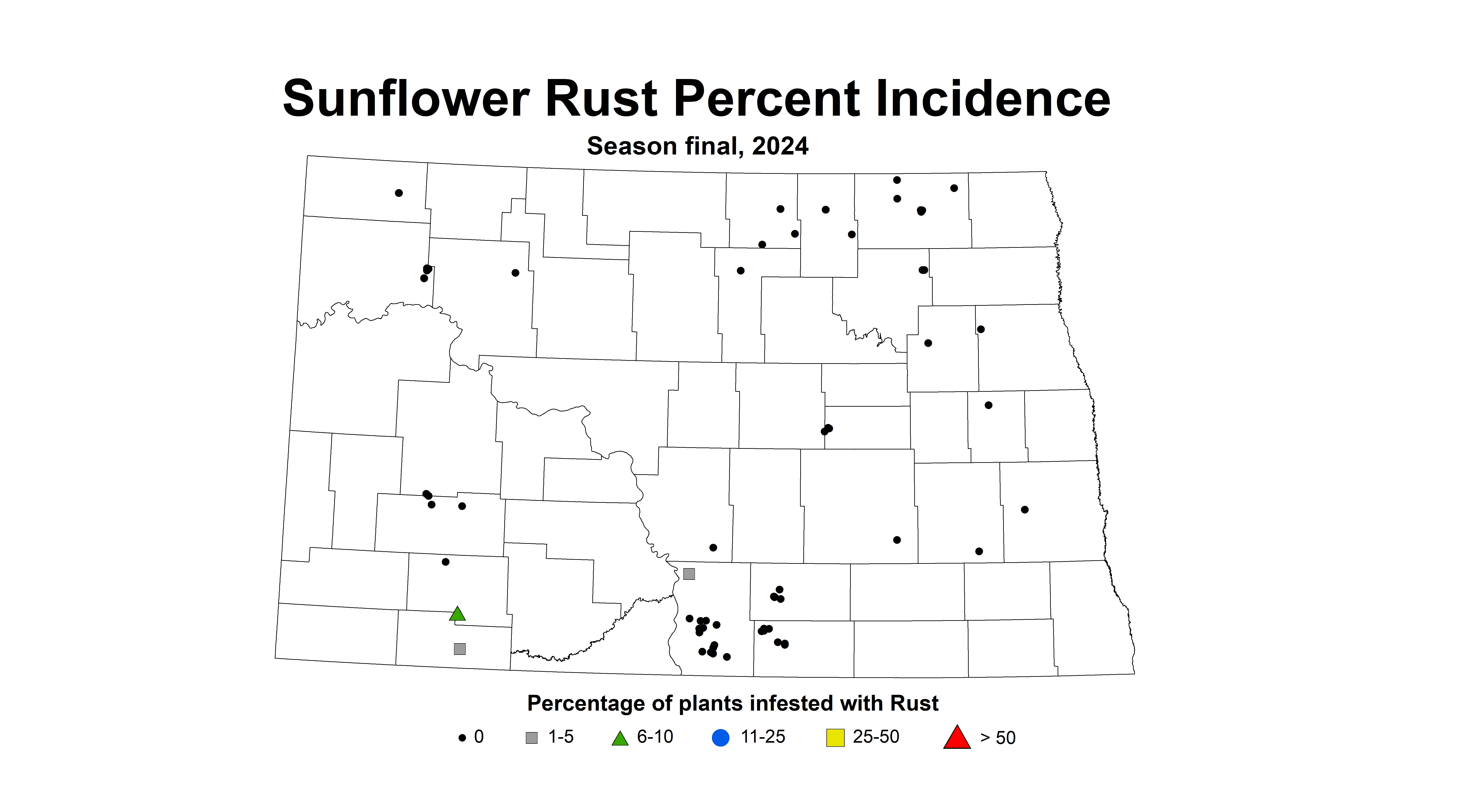 sunflower rust incidence season final 2024