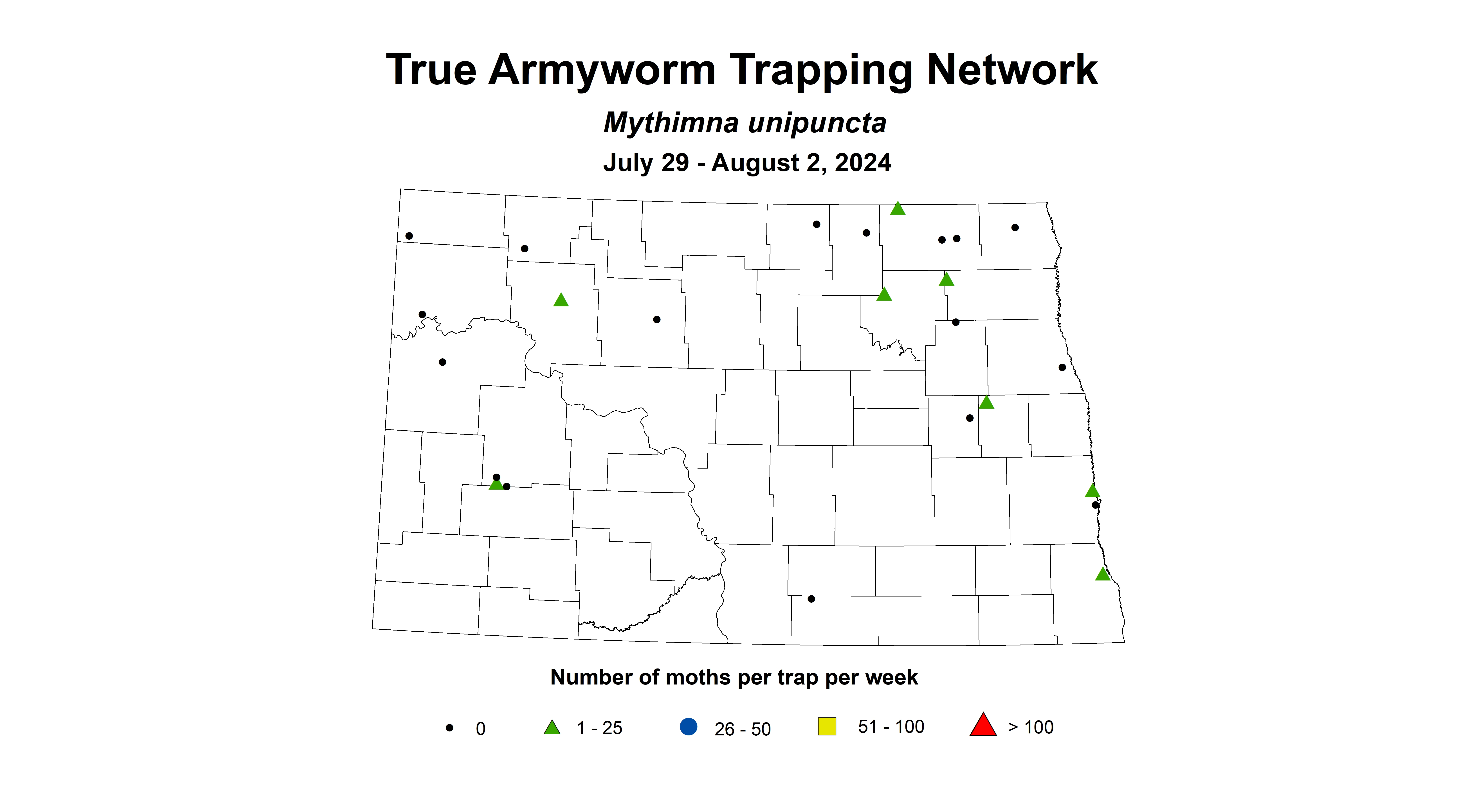 true armyworm wheat insect July 29 - August 2 2024