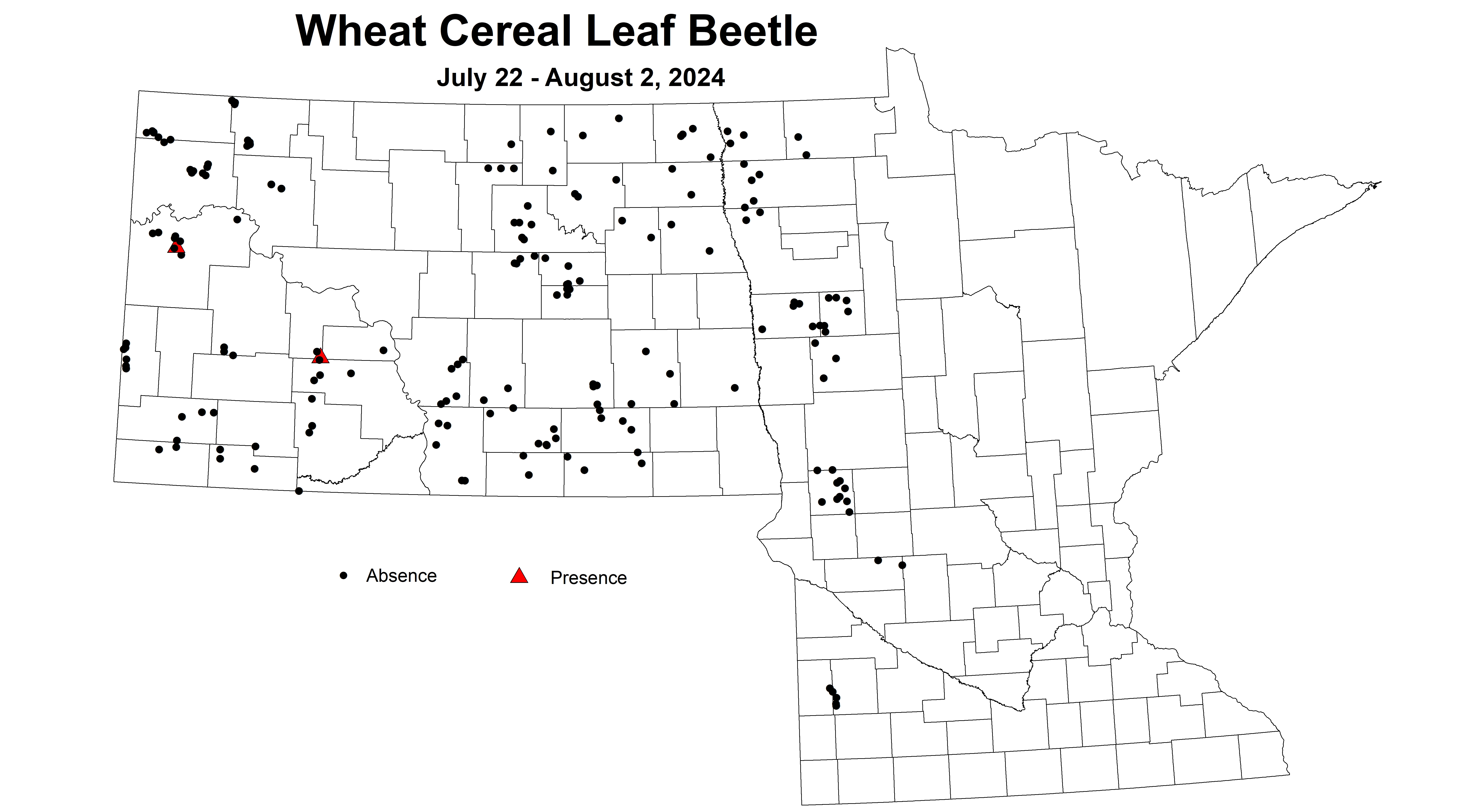 wheat cereal leaf beetle July 22 - August 2 2024