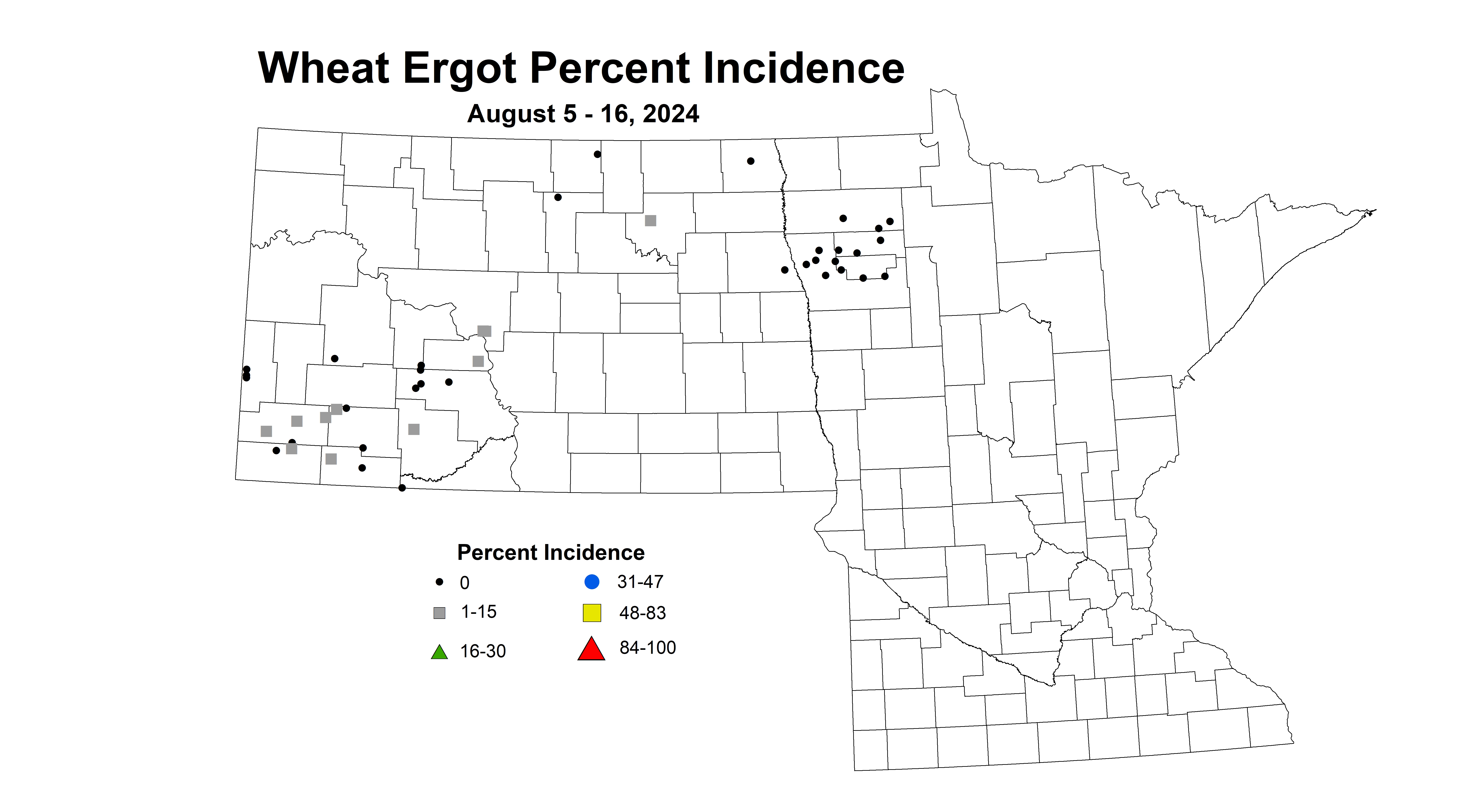 wheat ergot August 5-16 2024