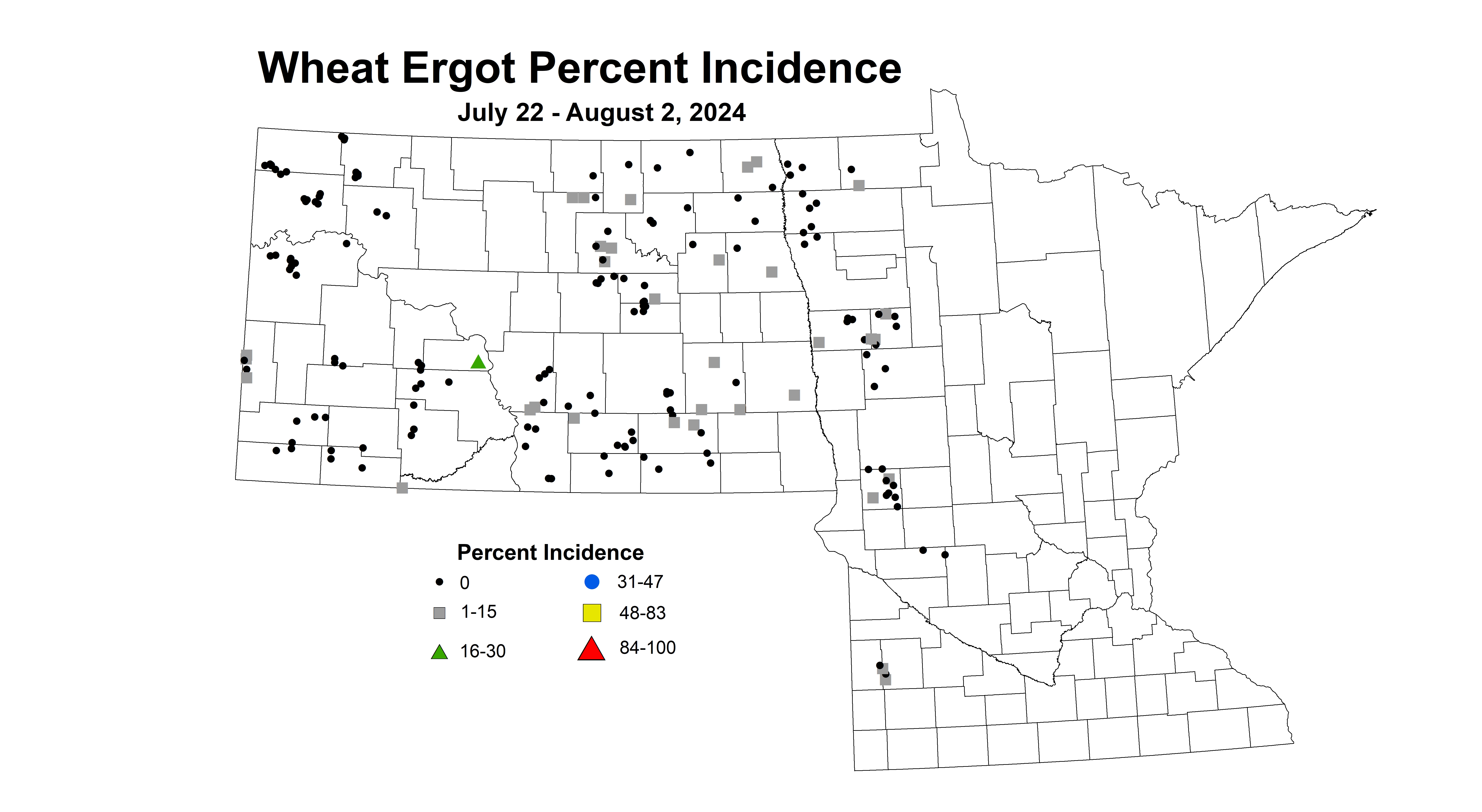 wheat ergot July 22 - August 2 2024