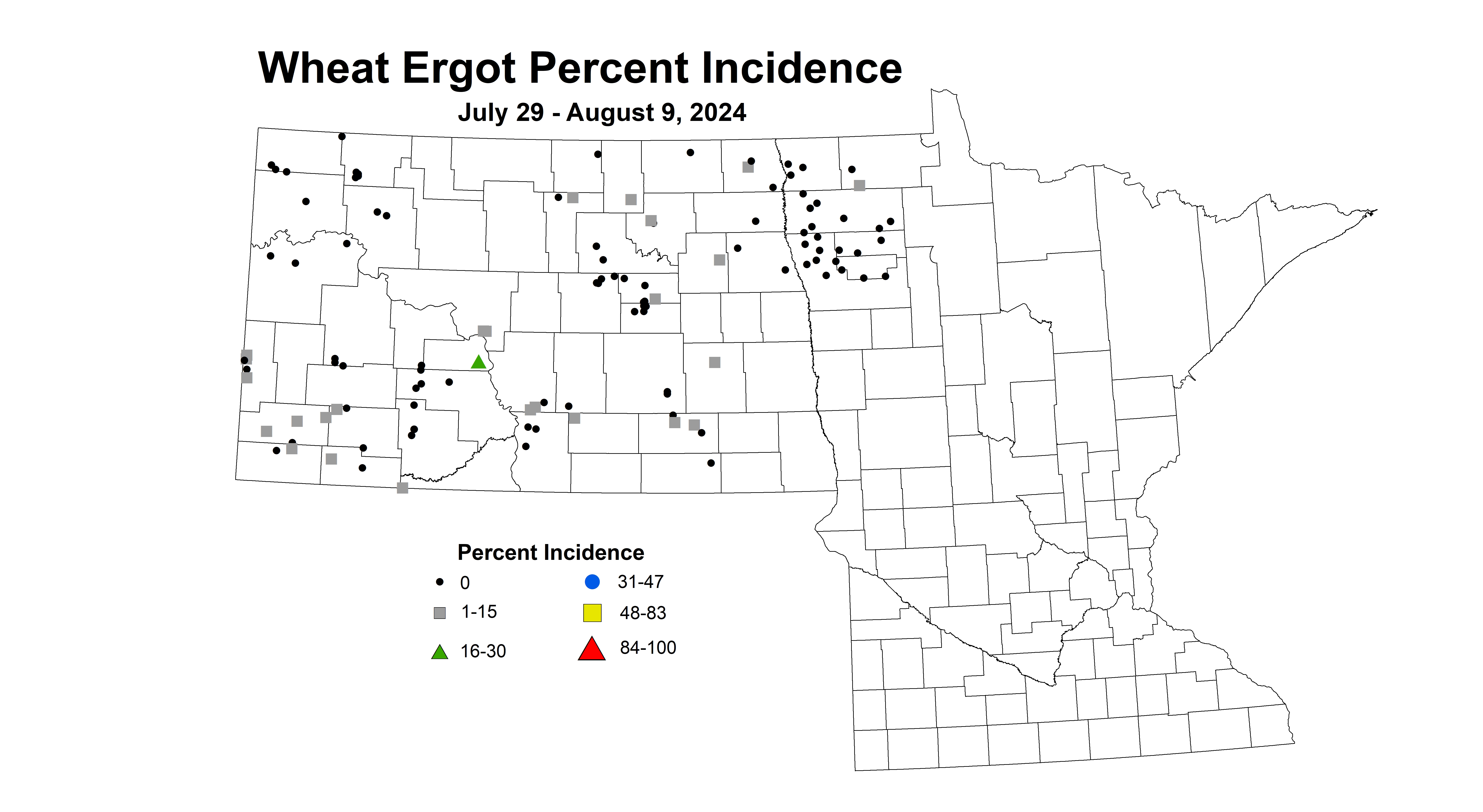 wheat ergot July 29 - August 9 2024