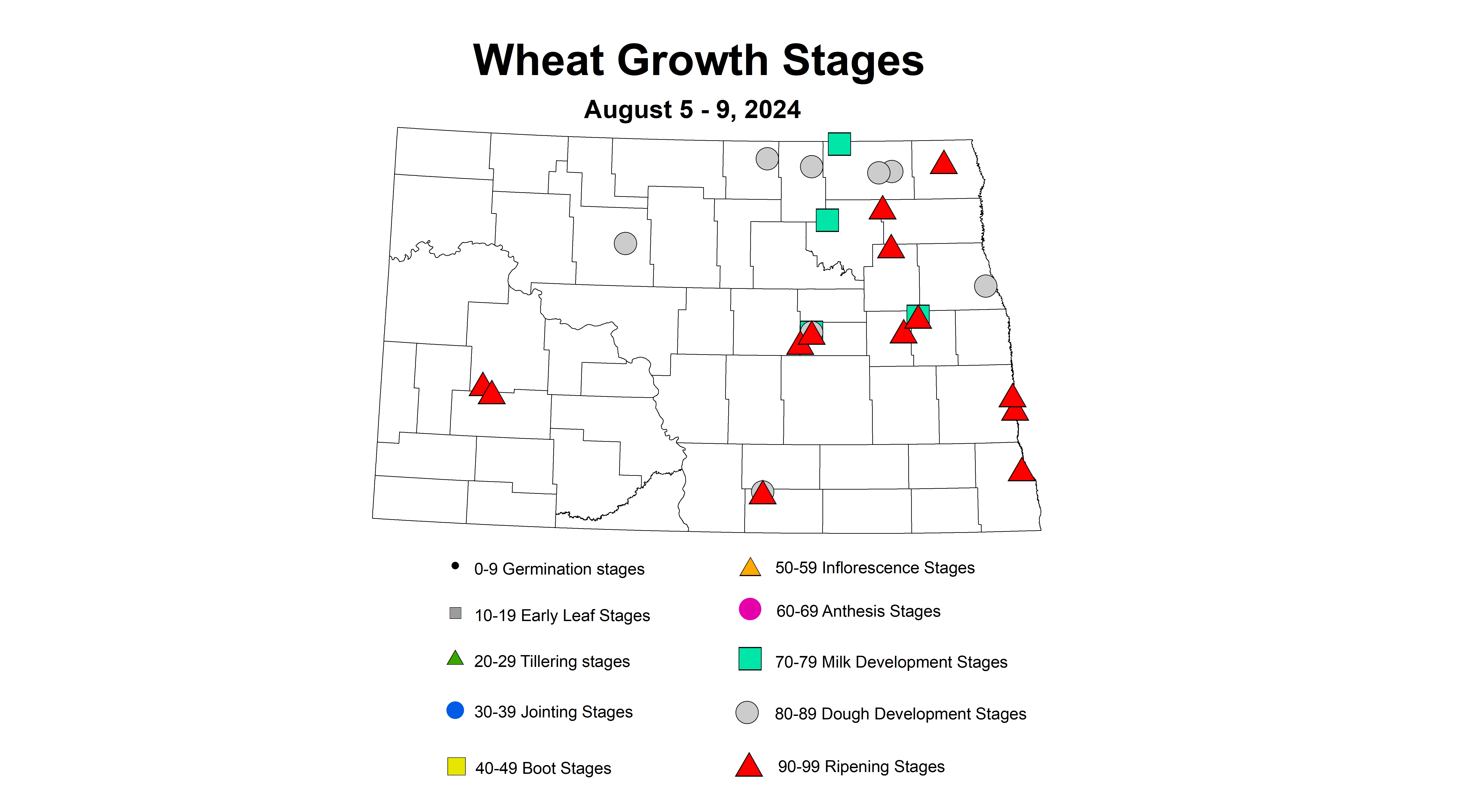 wheat growth stages August 5 - 9 2024