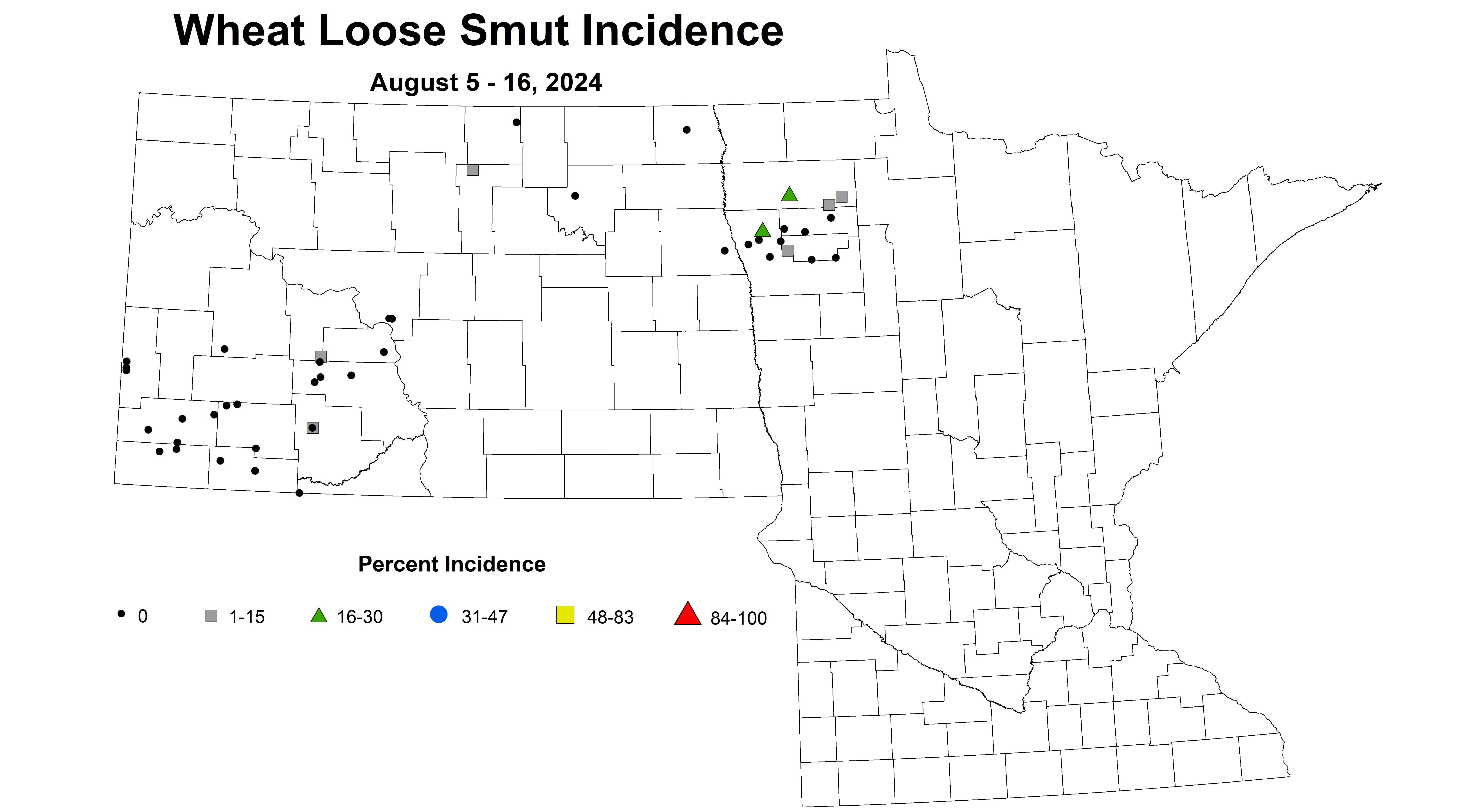 wheat loose smut incidence August 5-16 2024