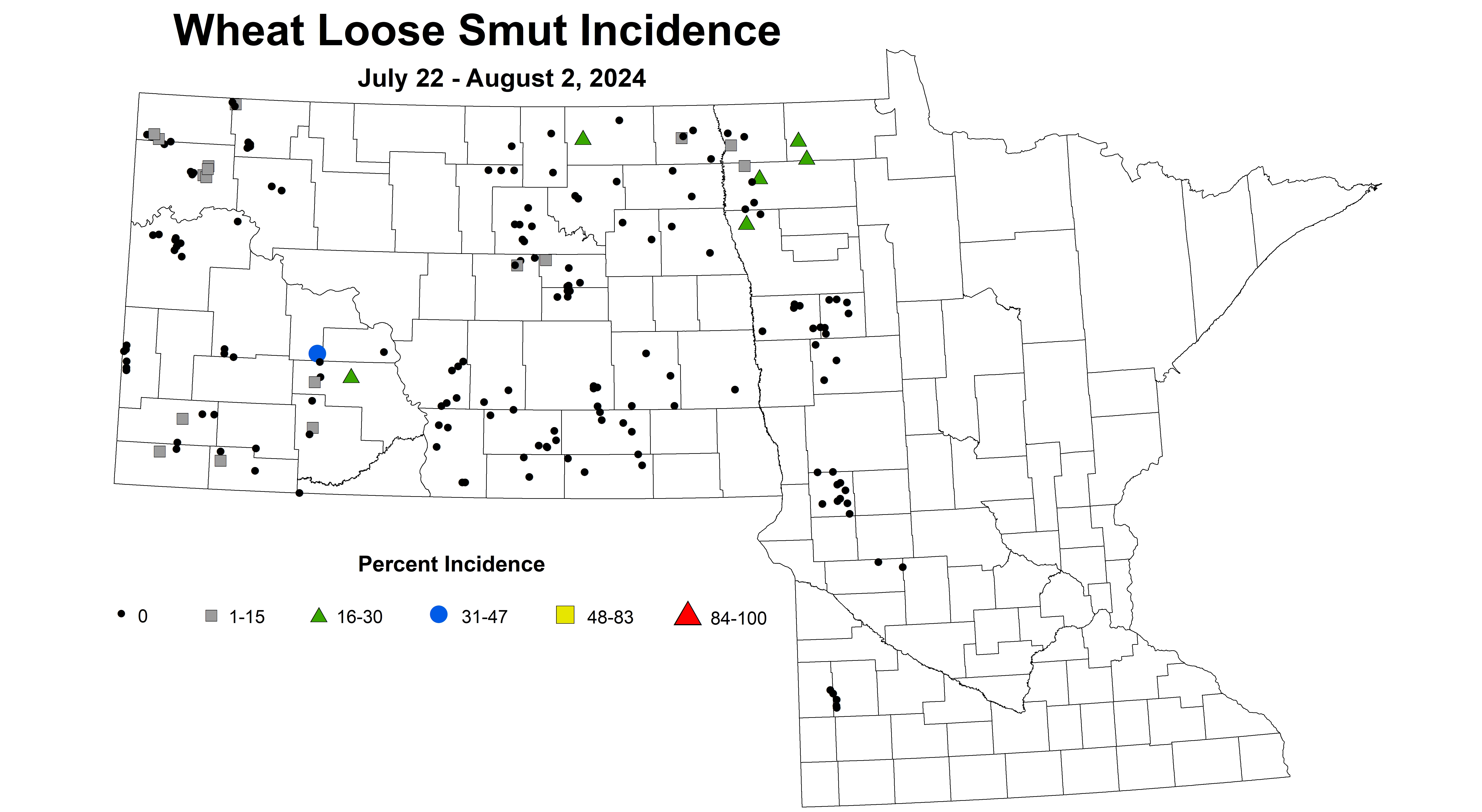 wheat loose smut incidence July 22 - August 2 2024