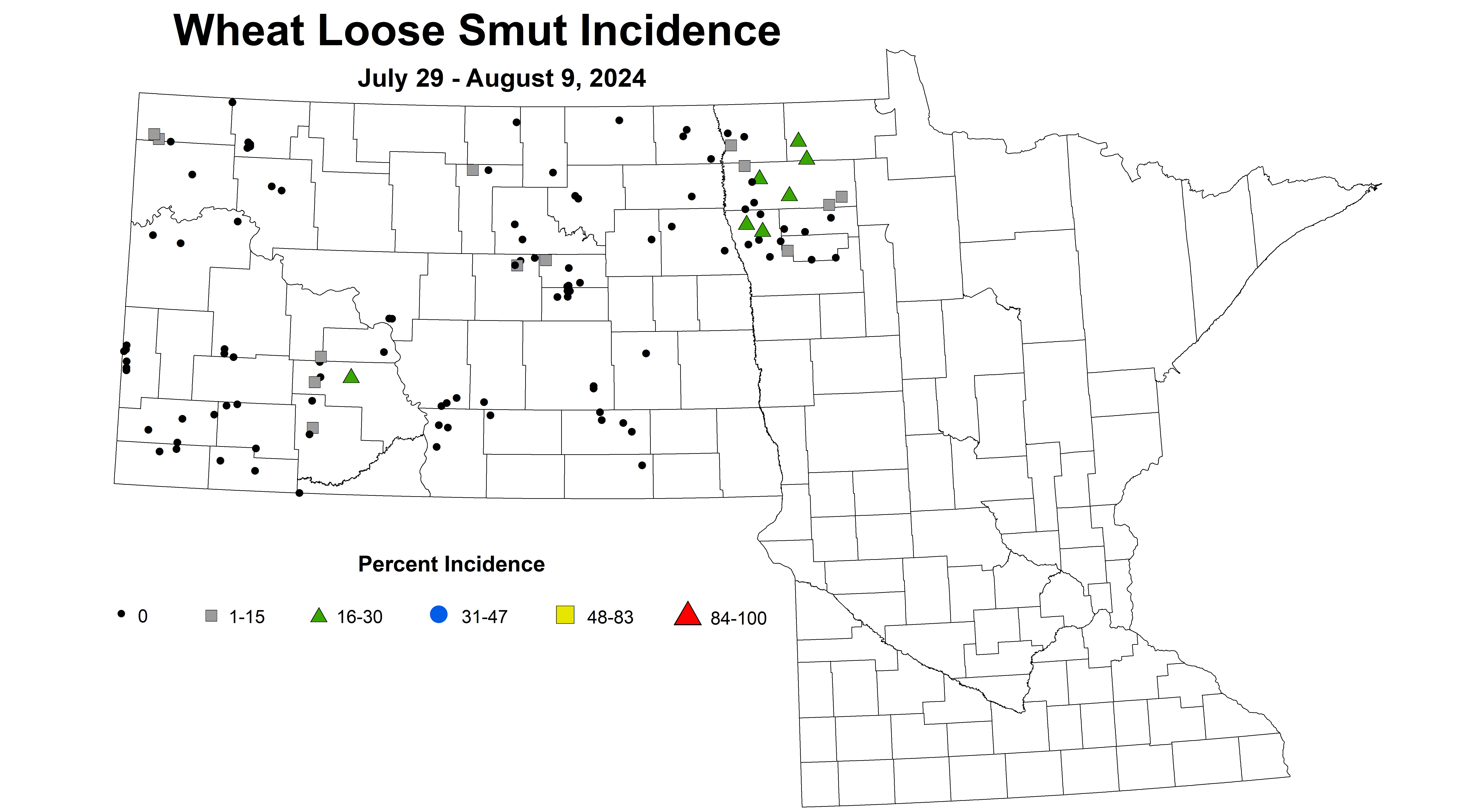 wheat loose smut incidence July 29 - August 9 2024