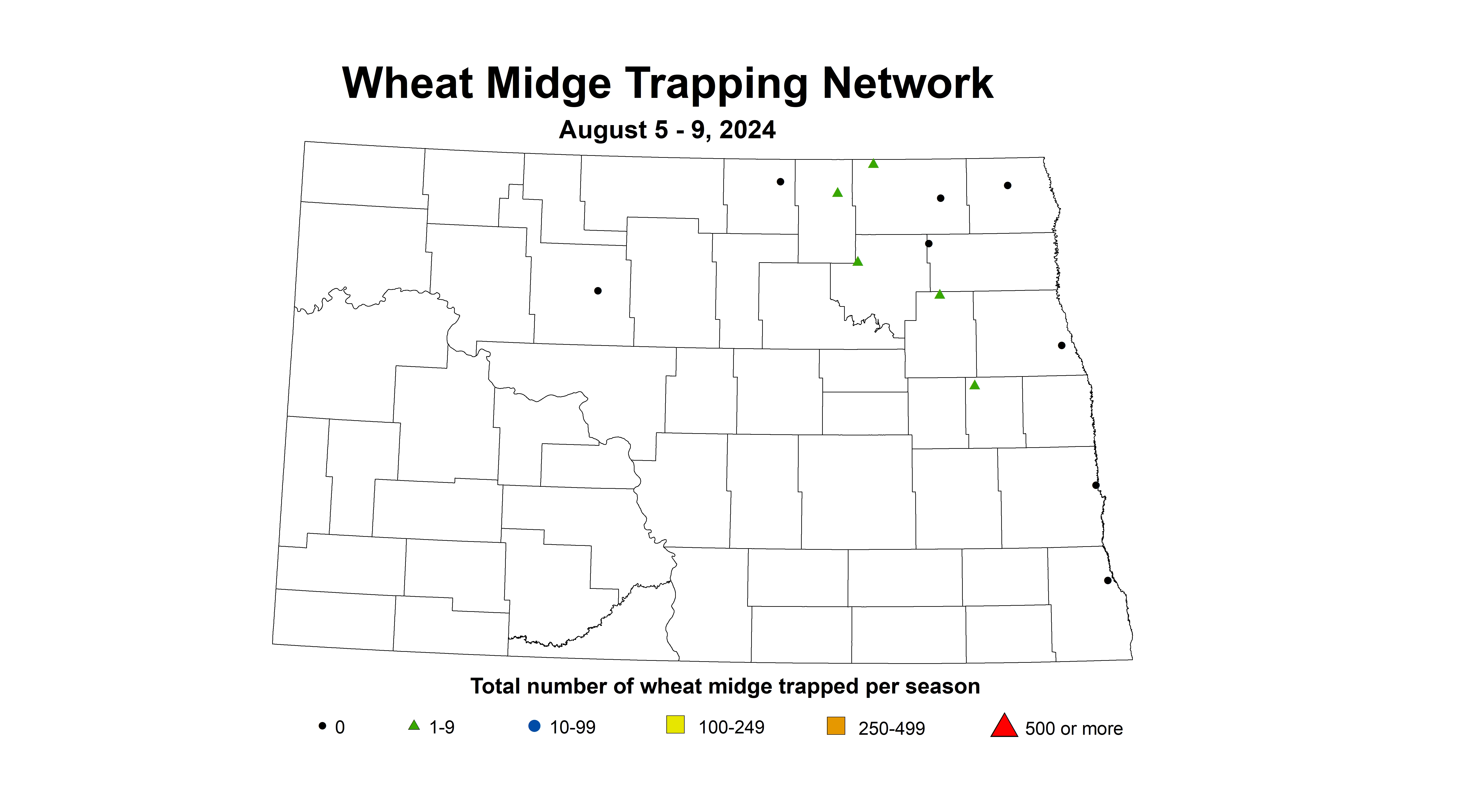 wheat midge trap August 5 - 9 2024