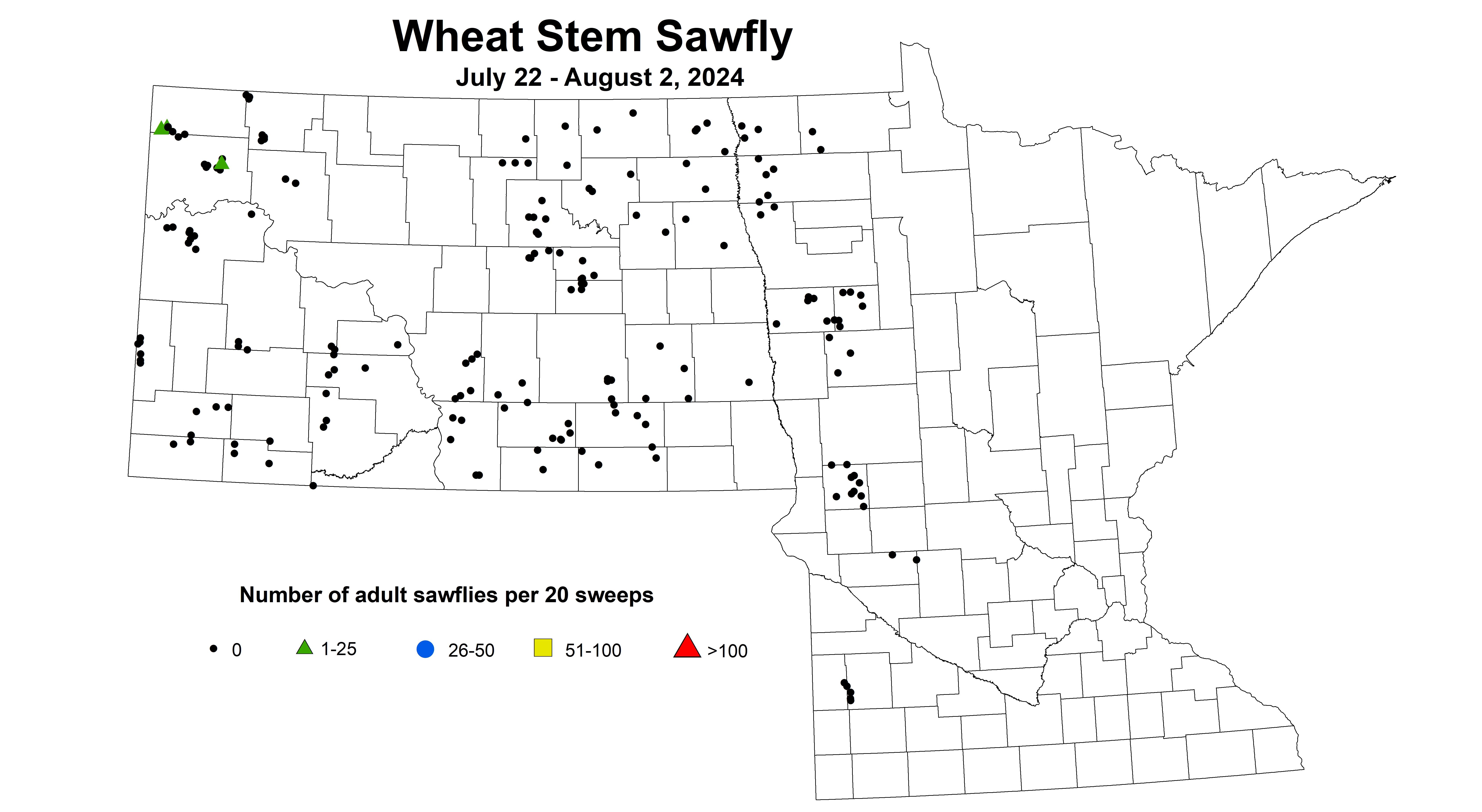 wheat sawfly July 22 - August 2 2024