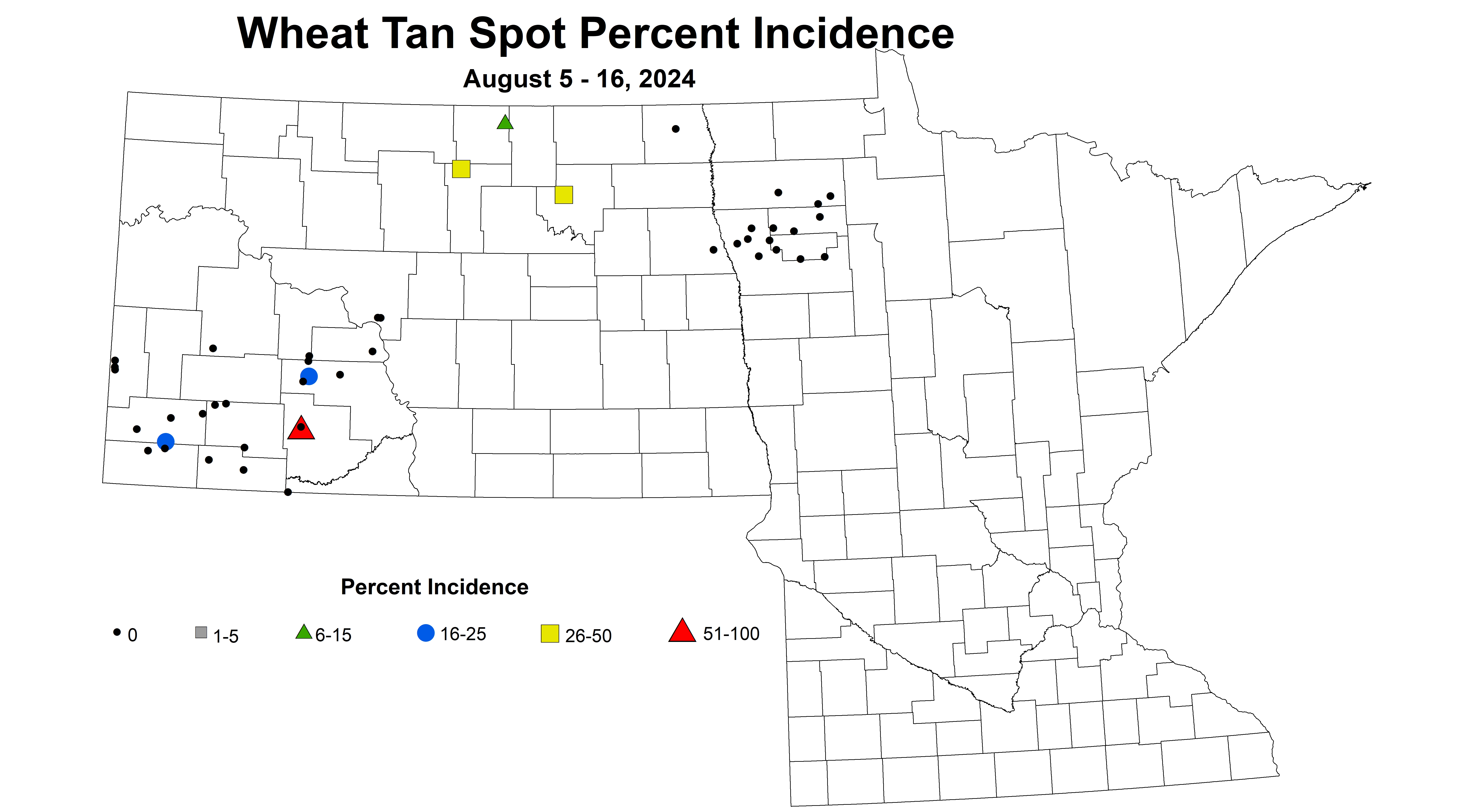 wheat tan spot incidence August 5-16 2024