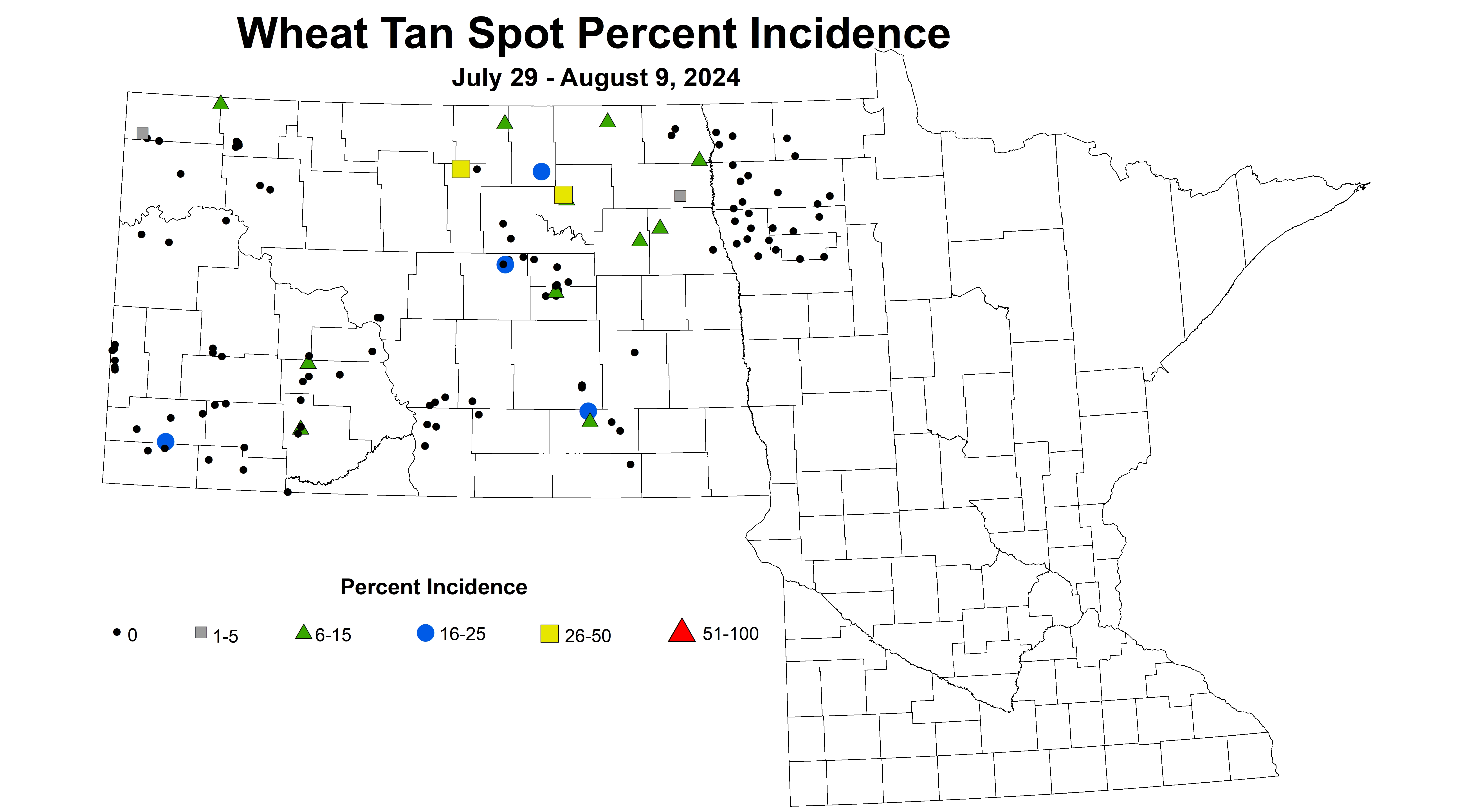 wheat tan spot incidence July 29 - August 9 2024