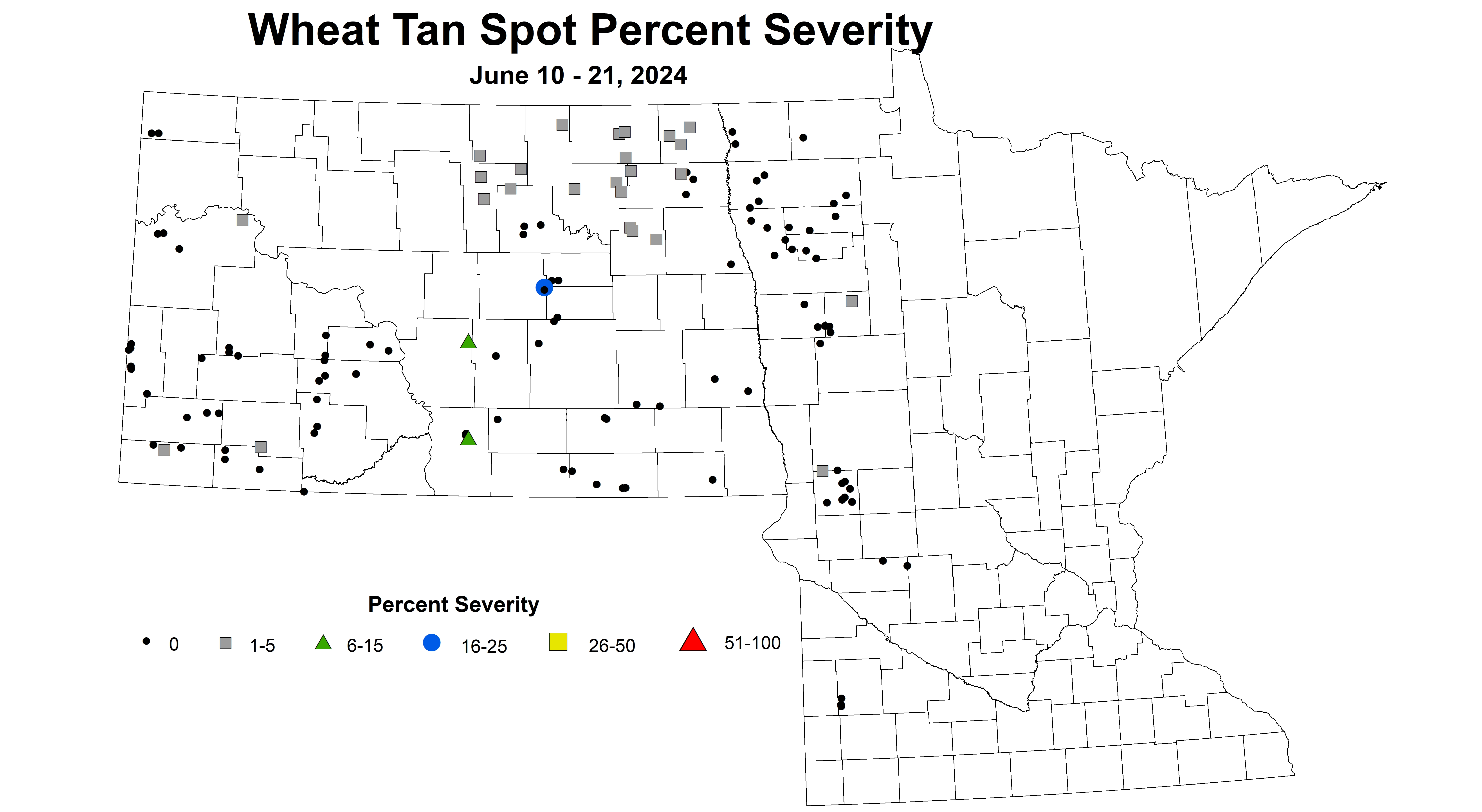 corrected wheat tan spot percent severity 2024 6.10-6.21