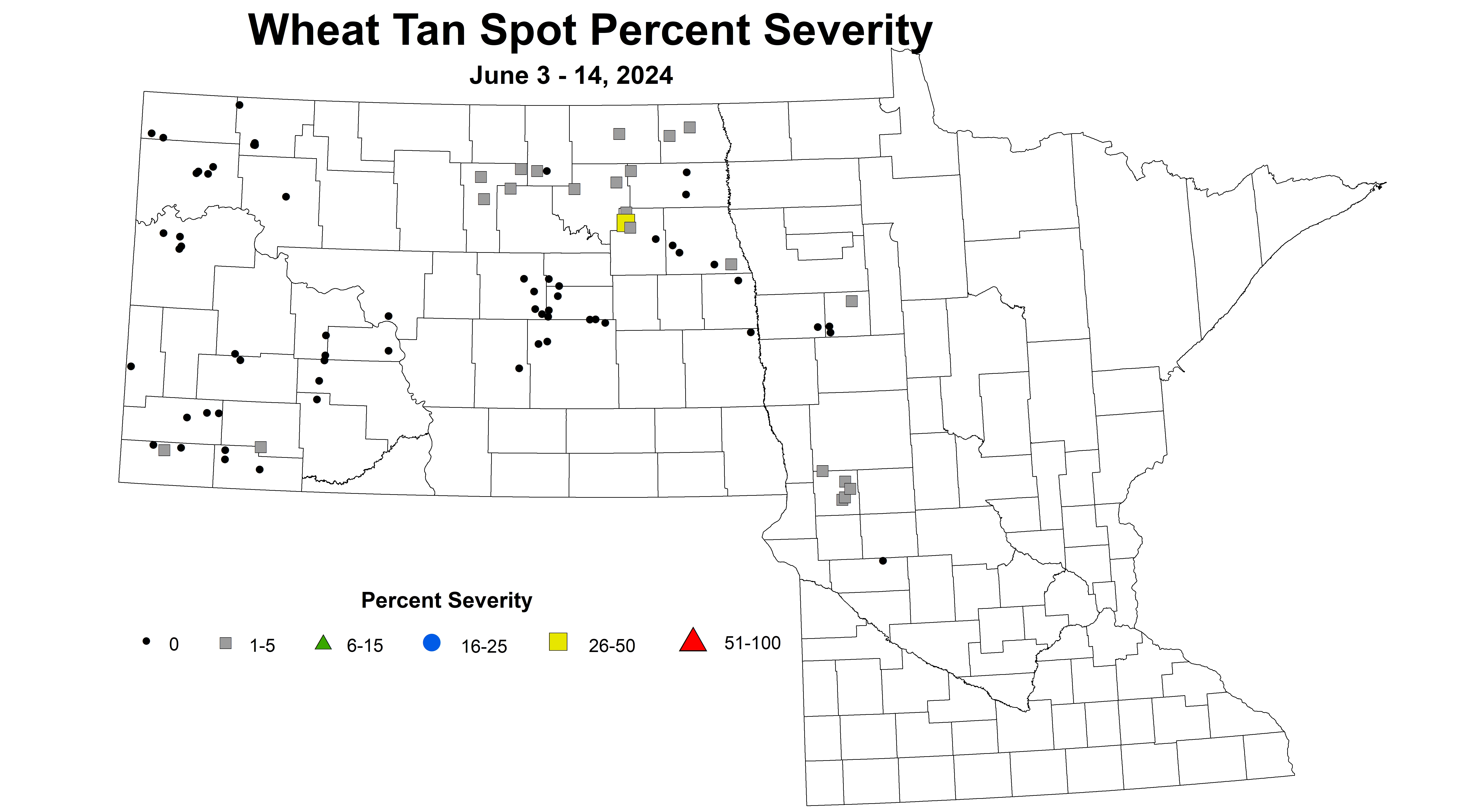 corrected wheat tan spot percent severity 2024 6.3-6.14