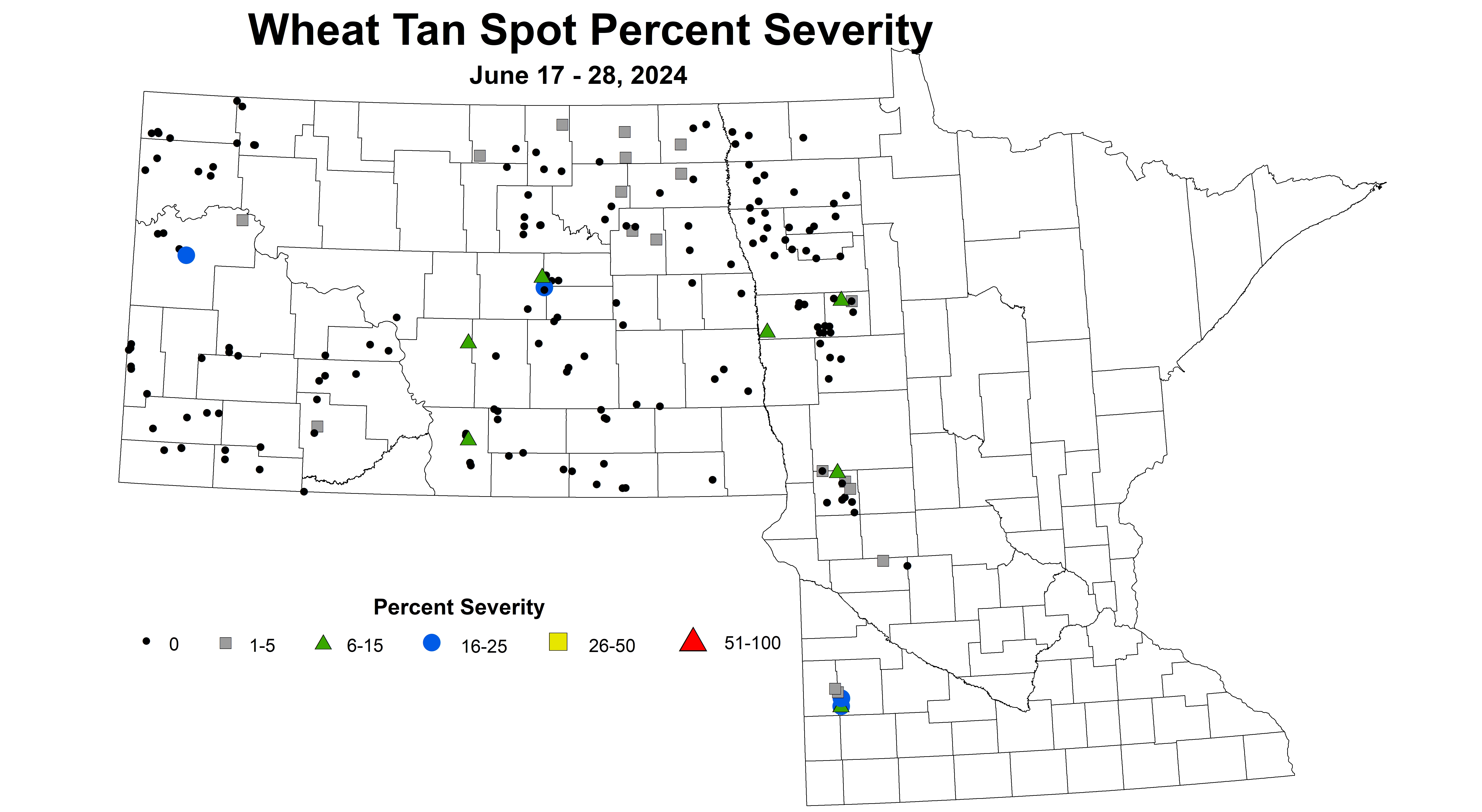 corrected wheat tan spot severity 2024 6.17-6.28