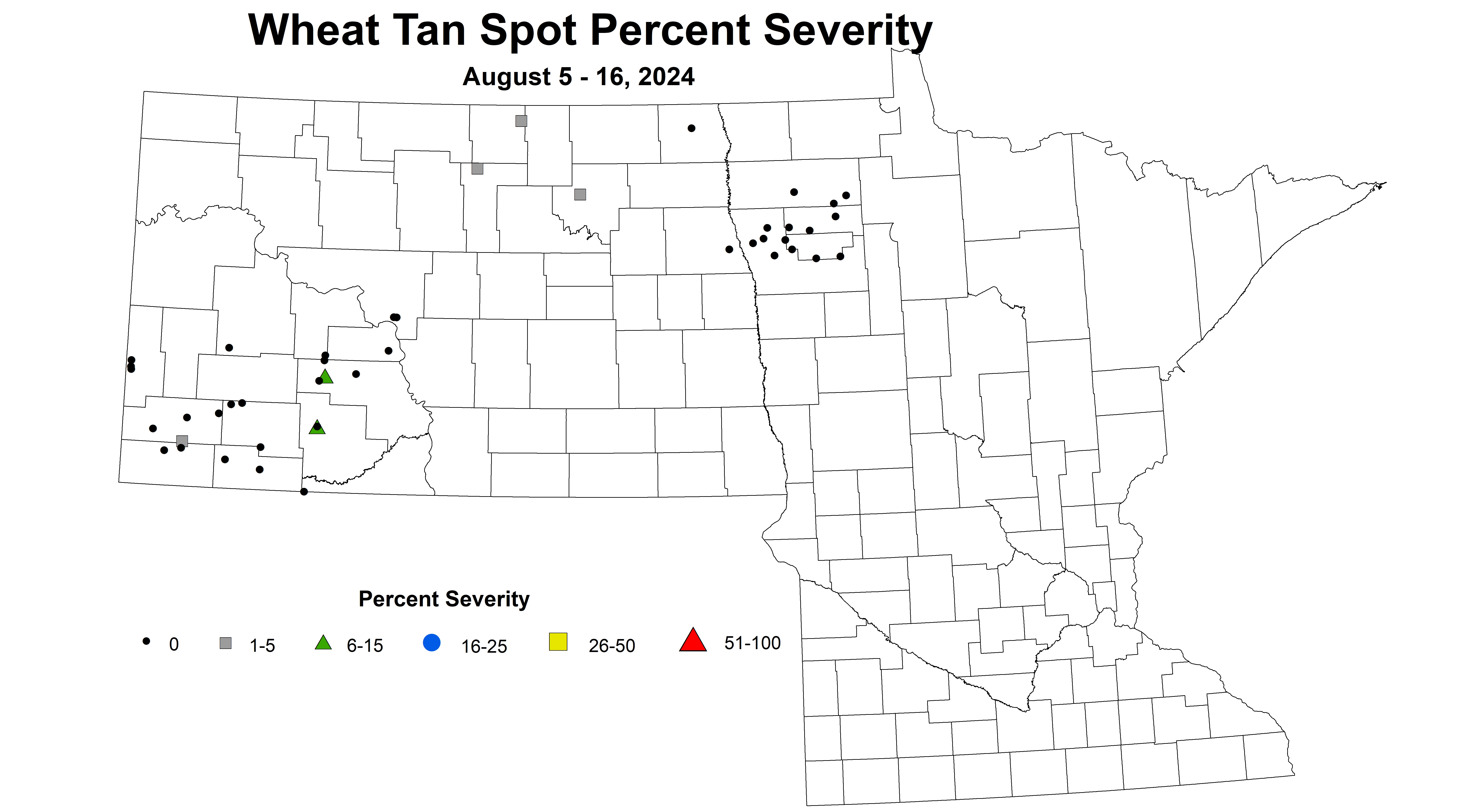 corrected wheat tan spot severity August 5-16 2024