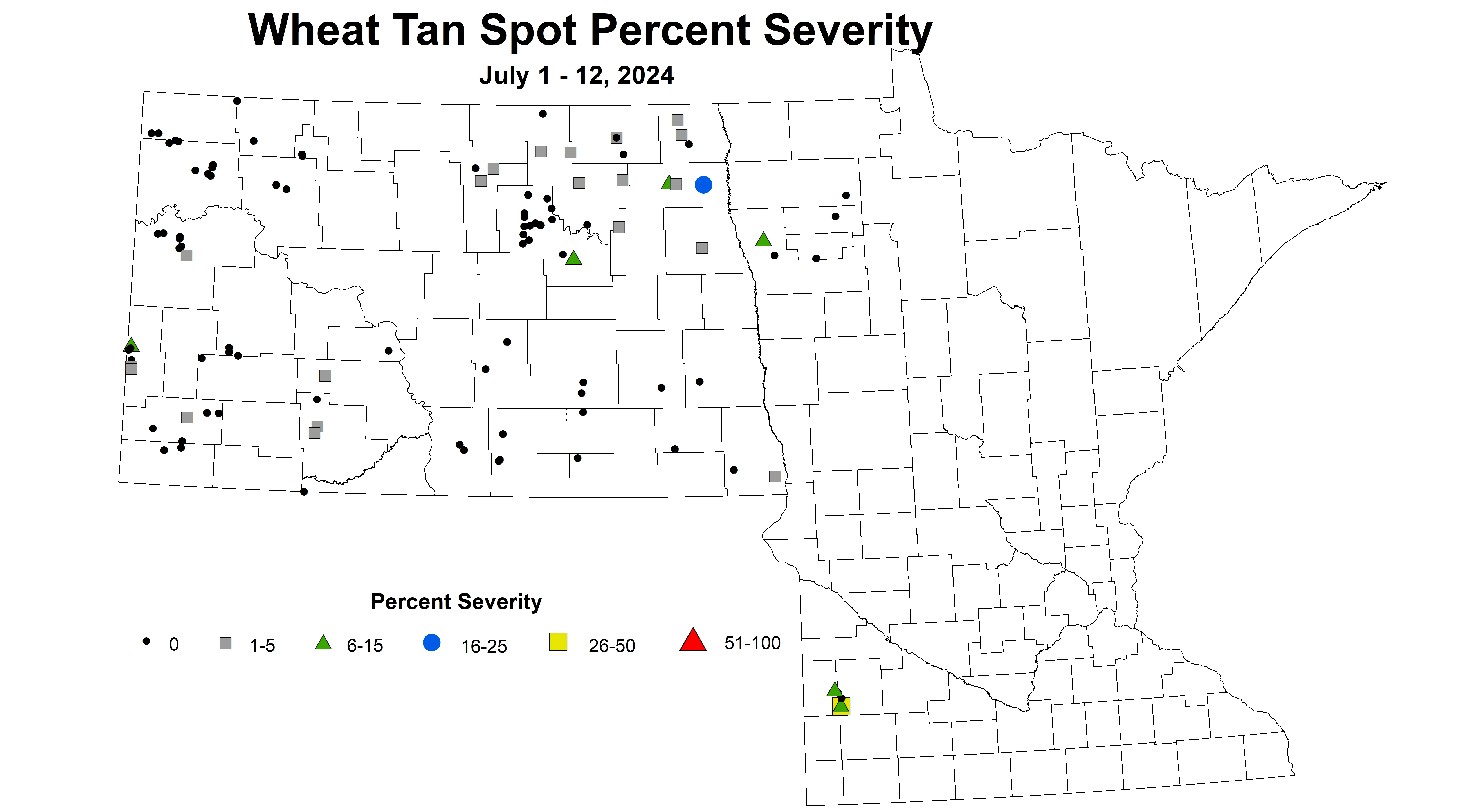 corrected wheat tan spot severity 2024 7.1-7.12