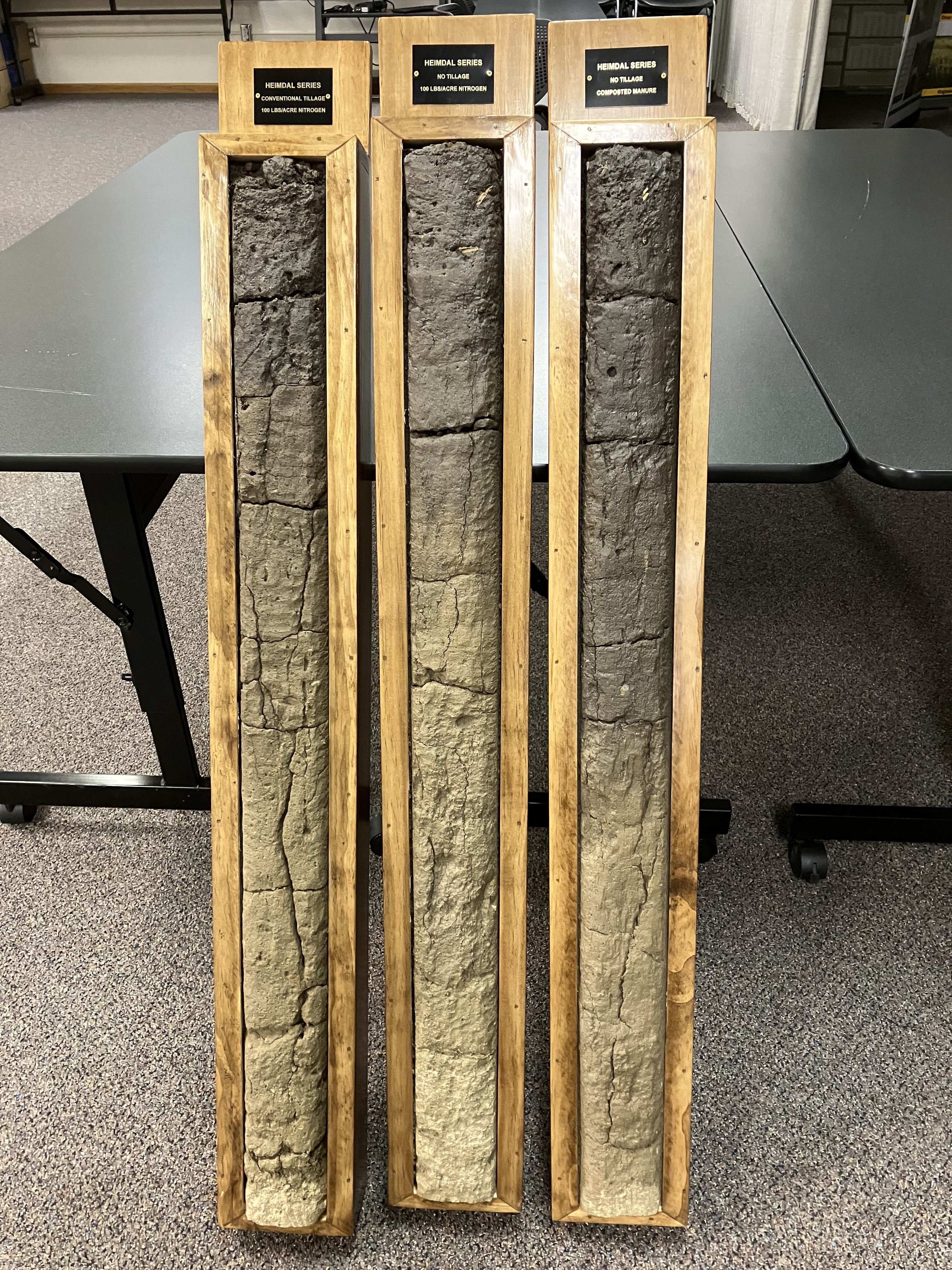 Three four-foot-long wood cases hold soil profiles.