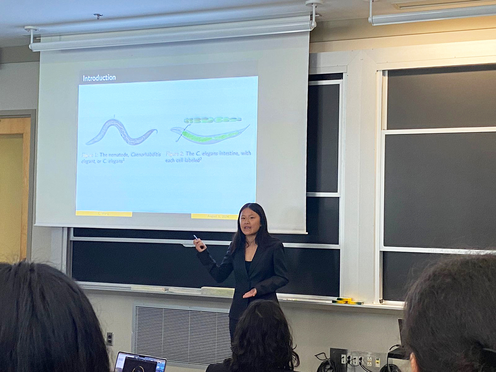 A woman stands in front of a screen in a classroom giving a presentation