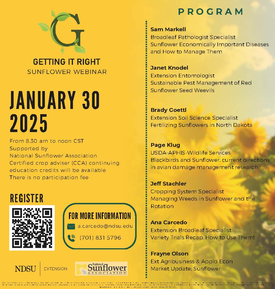 Yellow sunflowers provide the background for a graphic advertisement for Getting It Right Sunflower Production webinar on January 30, 2025.