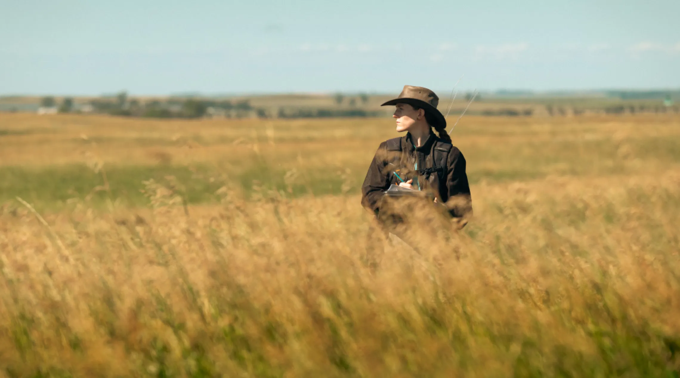 Woman observing butterfly population in a field 