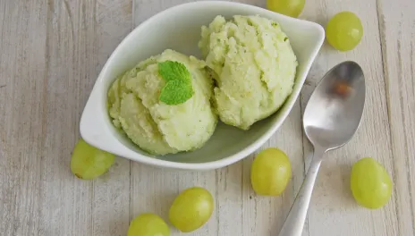 photograph of green grape sorbet in a dish with a spoon