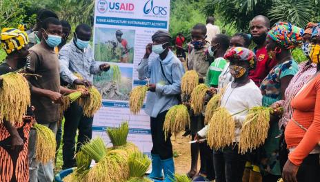 Liberian rice farmers