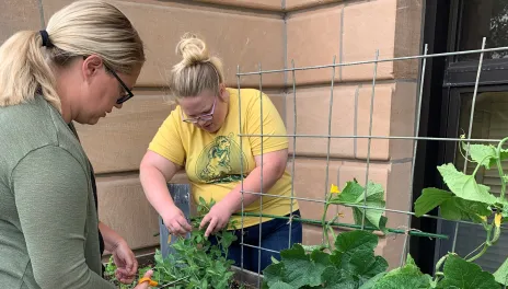 two women examining a plant