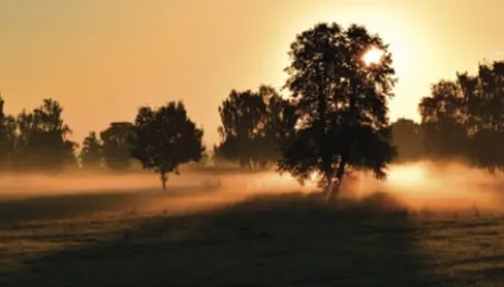 rural landscape at dusk 