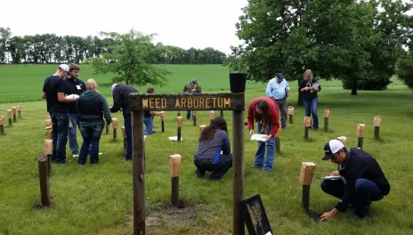 The Weed Arboretum at the NDSU Carrington Research Extension Center features about 60 native weed species.