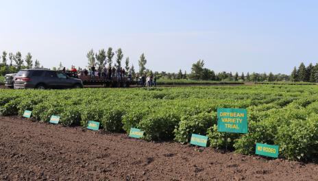 Six named dry bean variety test plots are in the foreground, with a group of people standing on a trailer behind the plots.