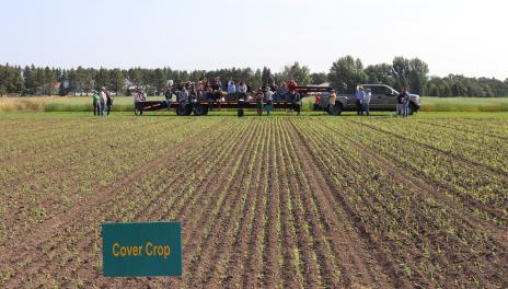 A gray pickup and black flatbed trailer sit at the end of a research plot. The trailer has several people sitting on it, and the plot is labeled "Cover Crop."