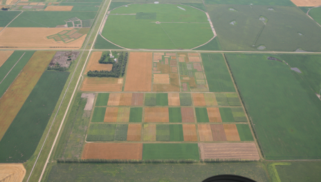 Aerial view of the Carrington Research Extension Center Long Term Cropping Systems study. The view is from the north, with the CREC livestock unit in the upper left corner of the picture. The long term study is pictured nearing harvest, when some of the crops are dry and mature but other crops are still green and growing.