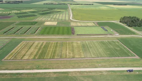 A north-facing aerial image of plots at the Carrington REC.