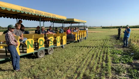 People sit on two yellow tour wagons on a beautiful clear day. 