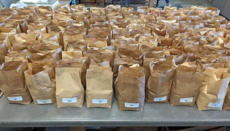 Approximately 100 brown paper bags, about 3” wide by 4” long by 9” tall, stand in rows on a countertop. Each bag is about half-full, and has a small bar-code label near the bottom of each bag. 