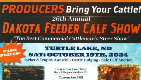 Producers bring your cattle! 26th Annual Dakota Feeder Calf Show, October 19, 2024 in Turtle Lake, ND.