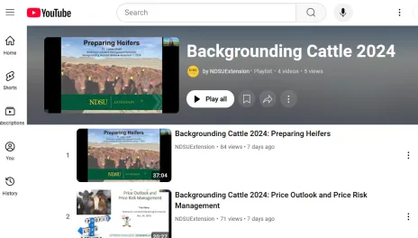 A screenshot from YouTube shows the title page for the NDSU Extension playlist featuring Backgrounding Cattle 2024.