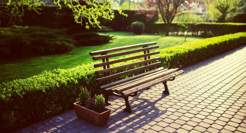 Park bench