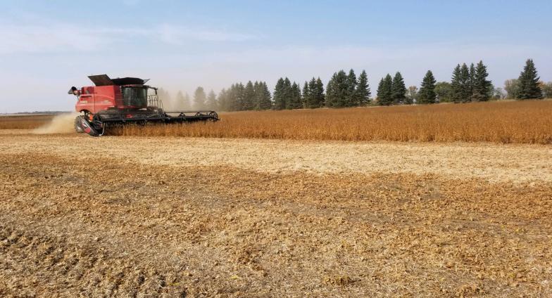 2021 U.S. corn harvest is one for the books