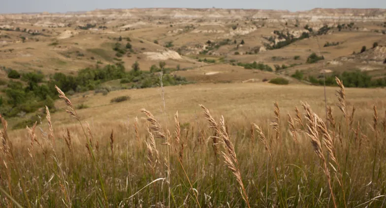 hilly landscape