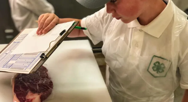 boy with clipboard analyzing piece of beef