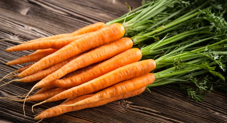 bunch of carrots