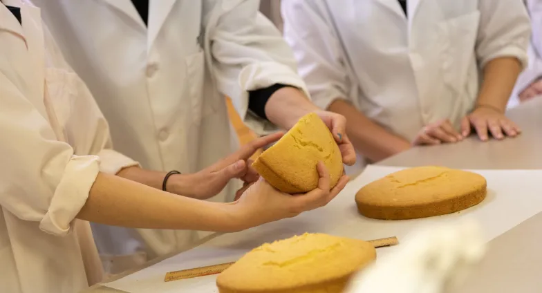 Students working in food lab