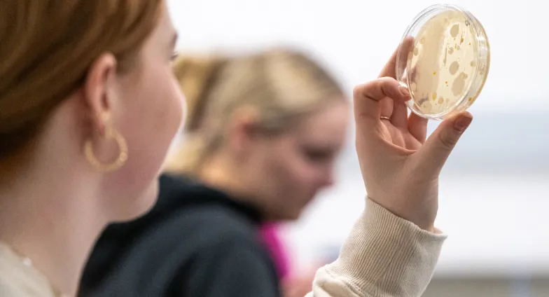 Student in a white lab coat viewing a petri dish with bacterial colonies.