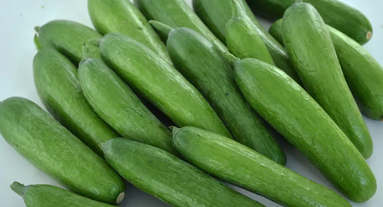 a bunch of small cucumbers