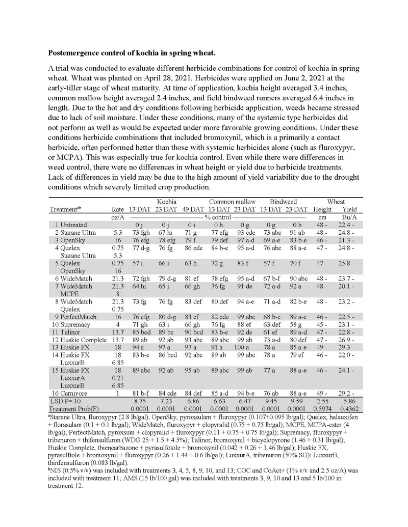 Postemergence control of kochia in spring wheat.