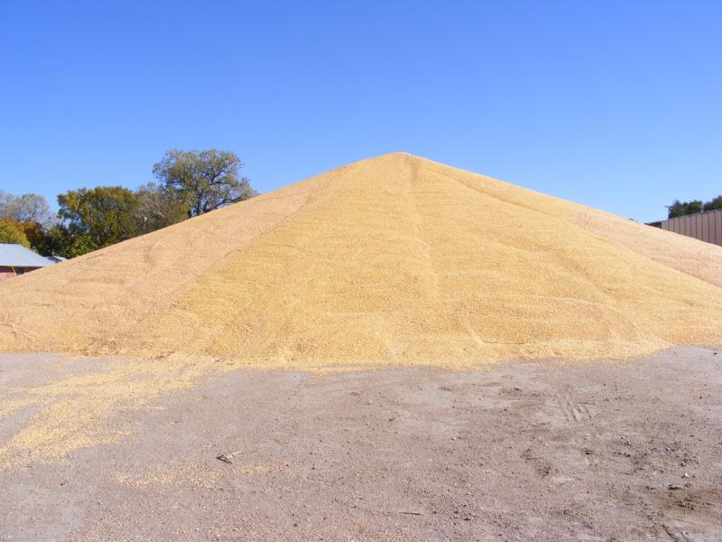 a pile of grain on the ground