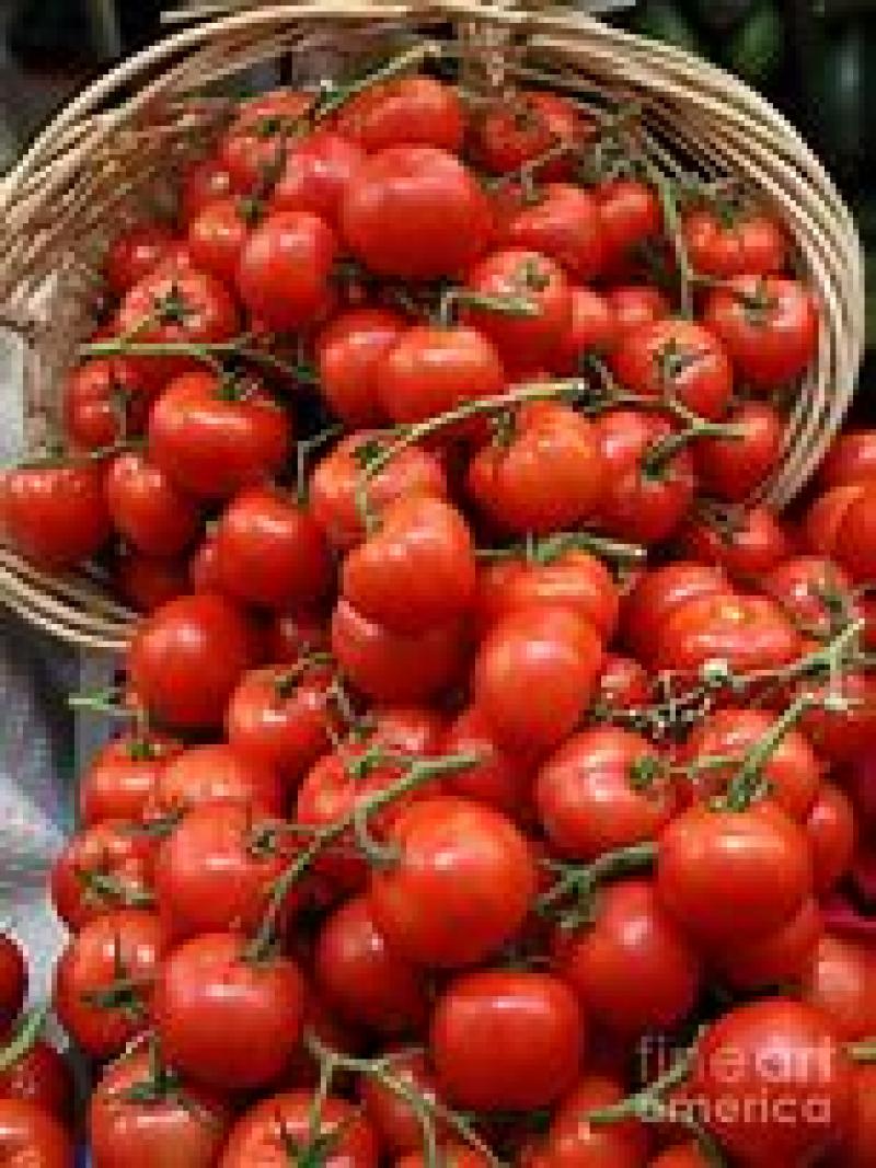 tomatoes basket