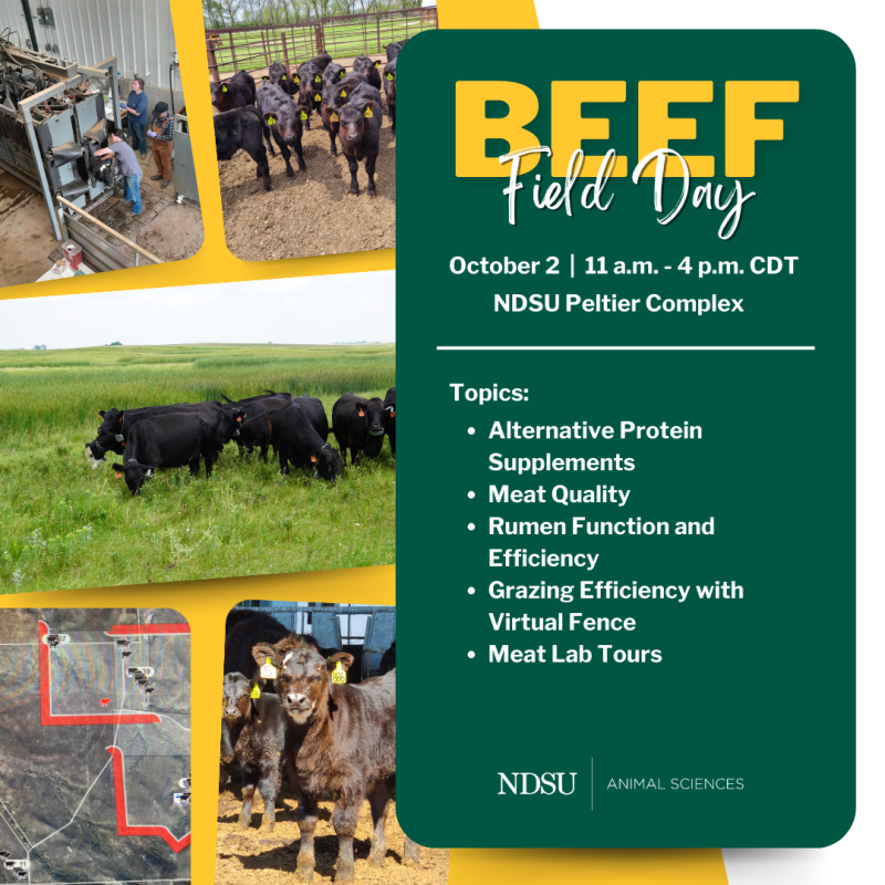 Beef Field Day banner listing topic areas