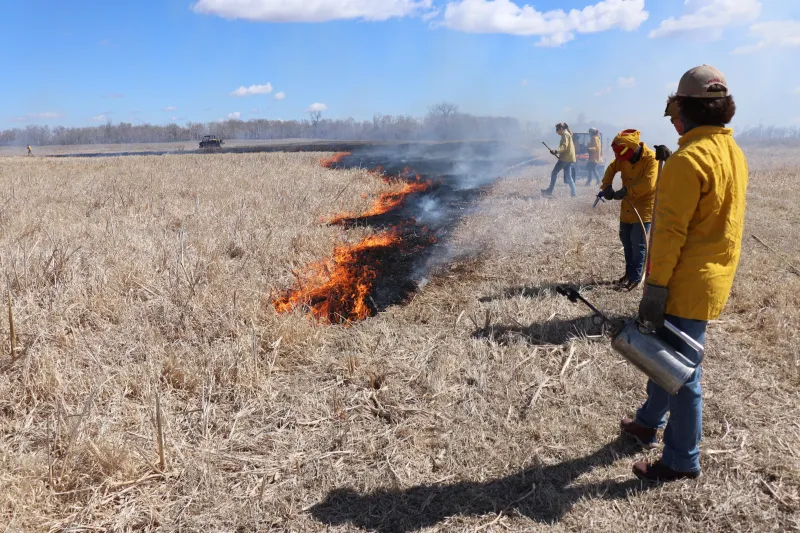 people with fire gear on doing a prescribed burn on grassland