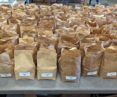 Approximately 100 brown paper bags, about 3” wide by 4” long by 9” tall, stand in rows on a countertop. Each bag is about half-full, and has a small bar-code label near the bottom of each bag. 